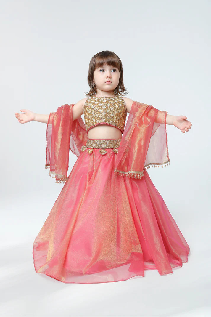 Girls Ethnic Pink Lehenga Choli Set – Golden Embroidered Party Wear