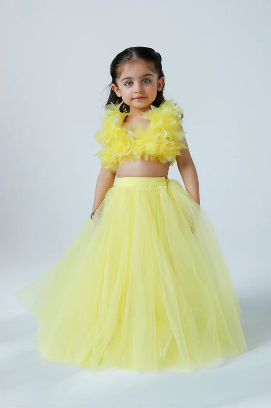 Tulle Lehenga Set for Baby Girls | Party Wear Dress
