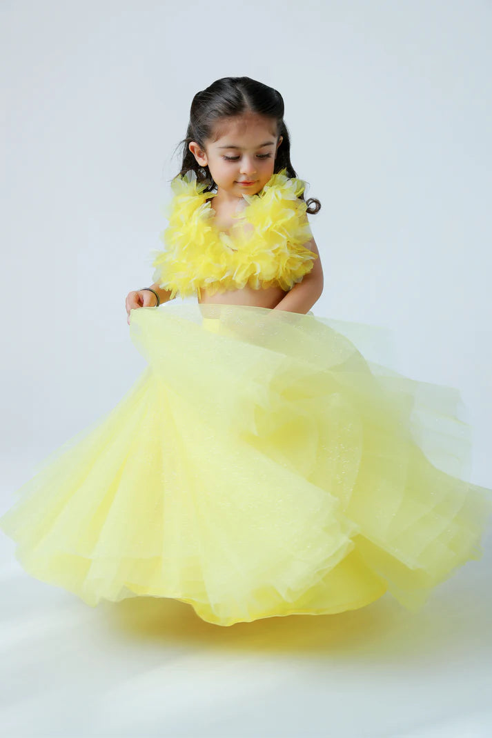 Tulle Lehenga Set for Baby Girls | Party Wear Dress
