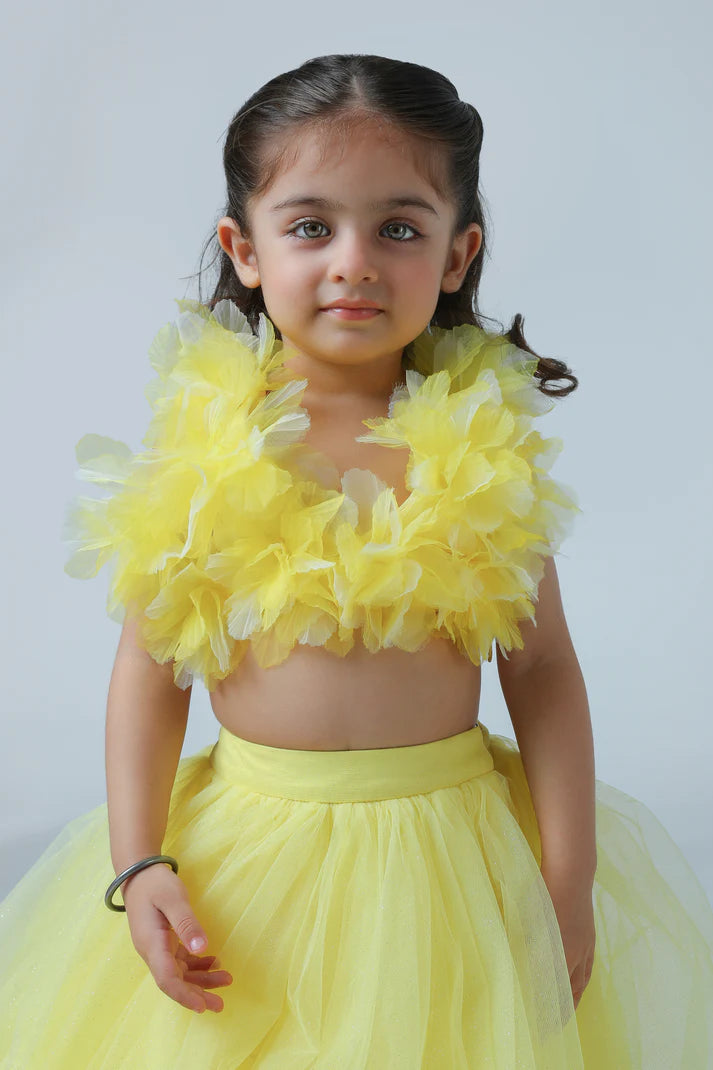 Tulle Lehenga Set for Baby Girls | Party Wear Dress